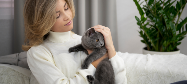 Top Cat Grooming Services and Cat Groomers in Drexel Hill